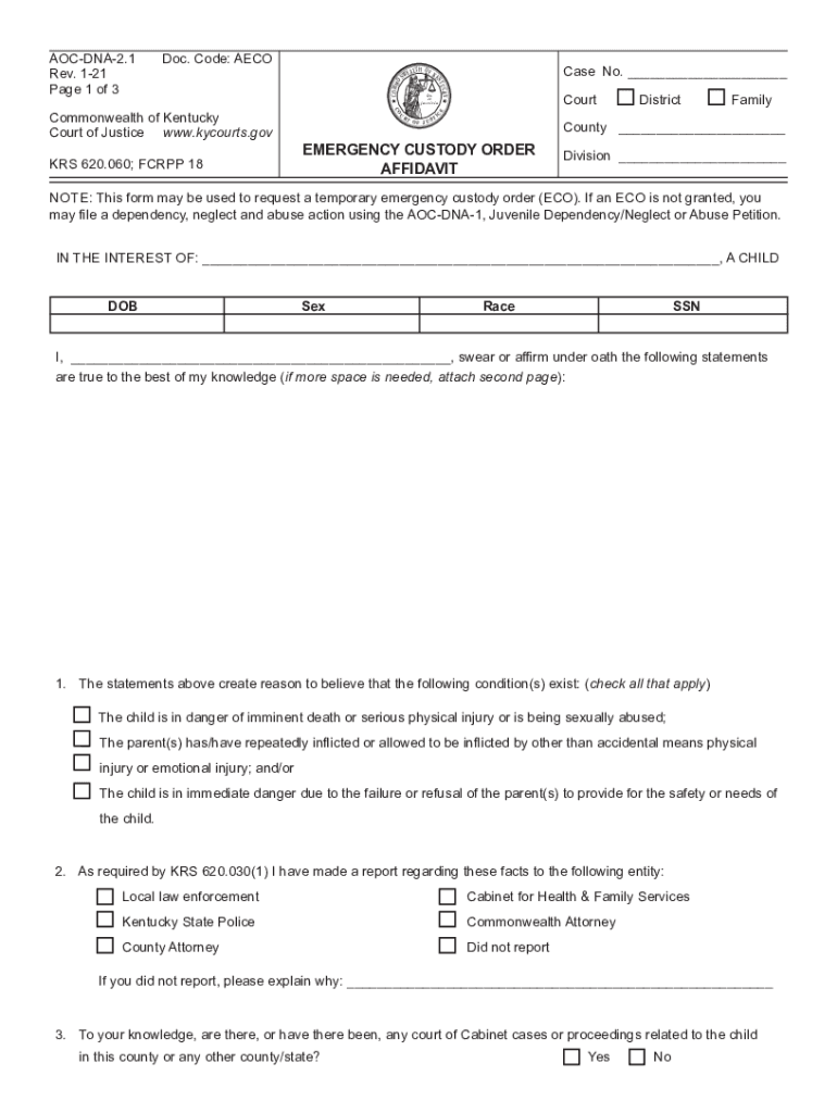  EMERGENCY CUSTODY ORDER AFFIDAVIT 2021-2024