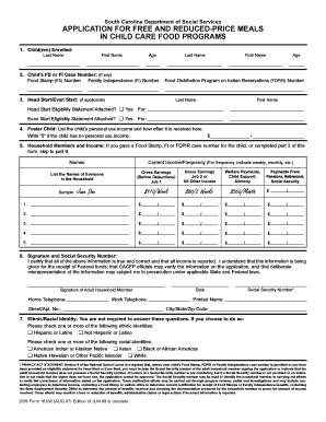 DSS Form 16160 AUG 07 Qxd SC Child Care Services Scchildcare