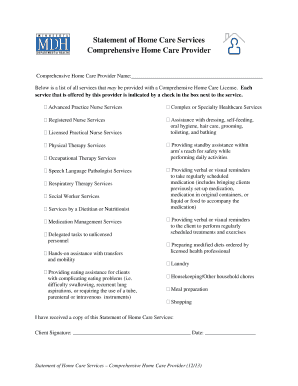 Statement of Home Care Services Form for Comprehensive Home Care Providers Health State Mn