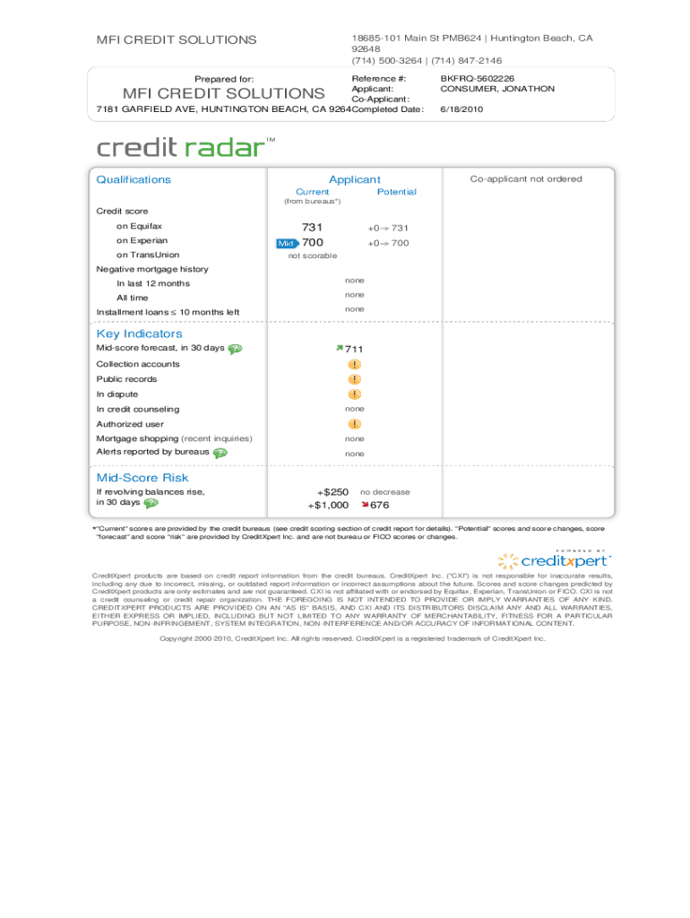 Sample Credit Report MFI Credit Solutions  Form