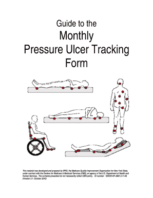 Guide to Monthly Pressure Ulcer Tracking Form Version 3 1 Qio Ipro