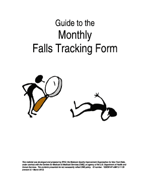 Ipro Fall Tracking Tool  Form