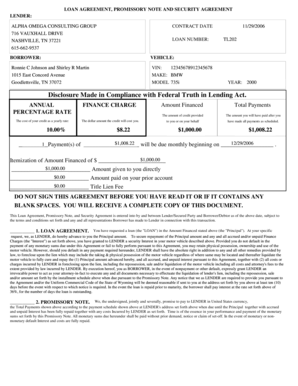 LOAN AGREEMENT, PROMISSORY NOTE and SECURITY AGREEMENT LENDER ALPHA OMEGA CONSULTING GROUP CONTRACT DATE 716 VAUXHALL DRIVE NASH  Form