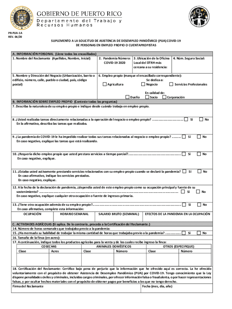 Pandemic Unemployment Assistance Supplement for Self Employed  Form