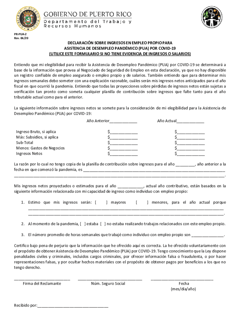Pandemic Unemployment Assistance Self Employment Income Statement  Form