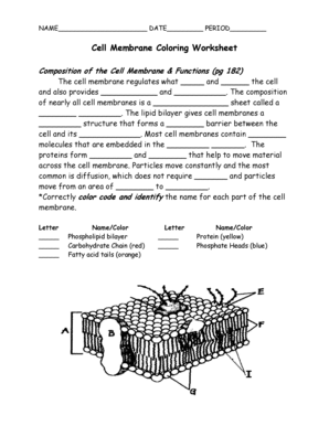 Cell Membrane Coloring Worksheet  Form