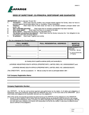 DEED of SURETYSHIP CO PRINCIPAL DEBTORSHIP and GUARANTEE  Form