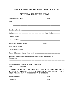 Bradley County Misdemeanor Probation  Form