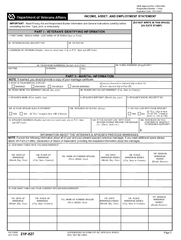 21P 527 Income Net Worth and Employment Statement  Form
