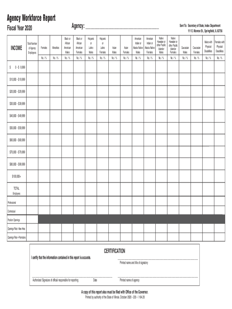  Illinois Agency Workforce Report Fiscal Year 2020