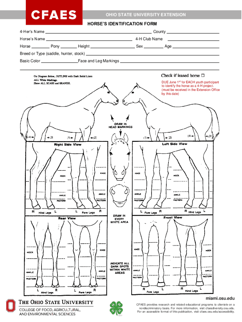  Horse Identification Chart 2021-2024