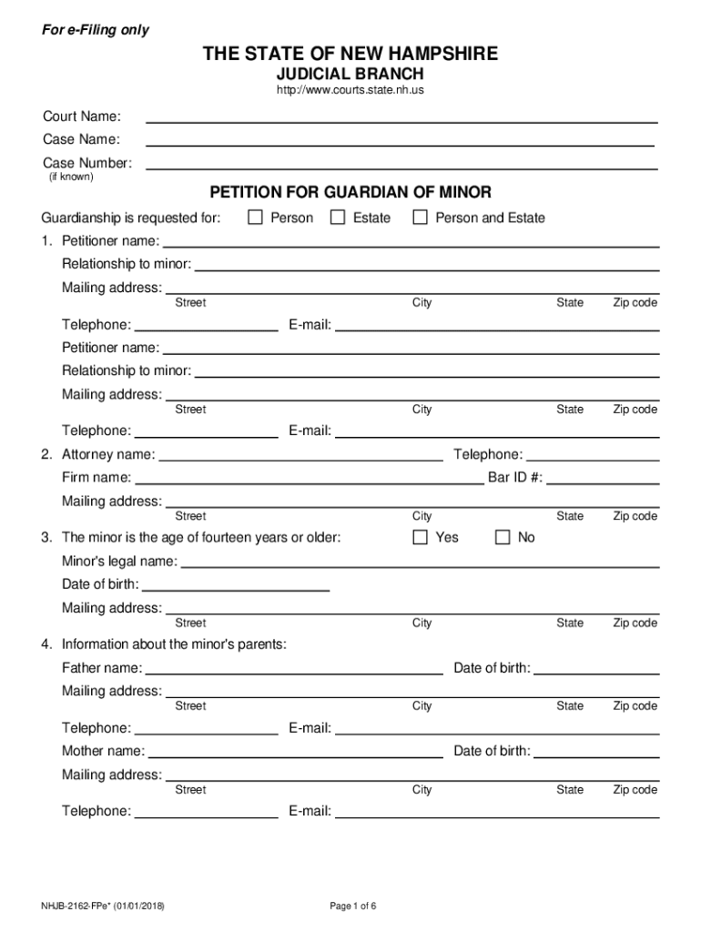 Petition for Guardianship of Minor ECourt  Form