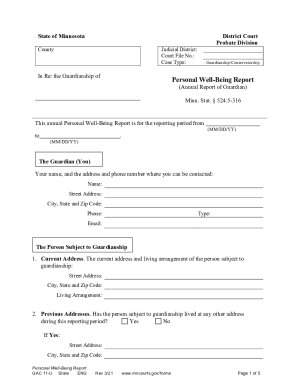 Minnesota Guardianship Annual Report Form - Fill Out and Sign Printable PDF  Template | signNow