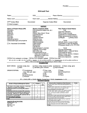 EM Audit Tool Mihospice  Form