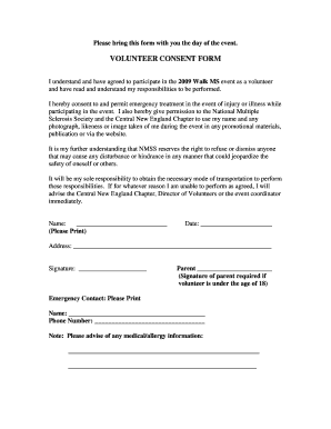 Volunteer Consent Form Template