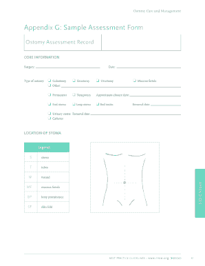 Appendix G Sample Assessment Form All Available Guidelines Pda Rnao