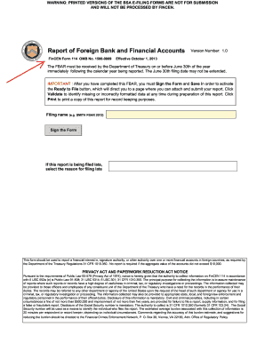 Fincen Form 49342g