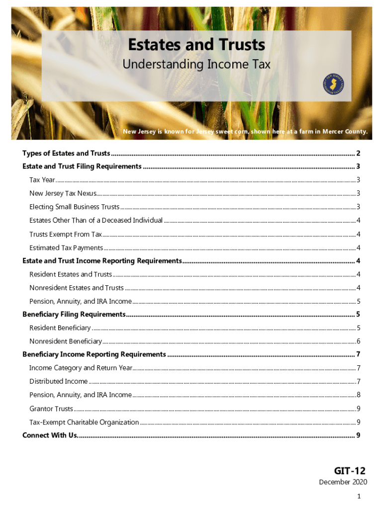 New Jersey Income Form