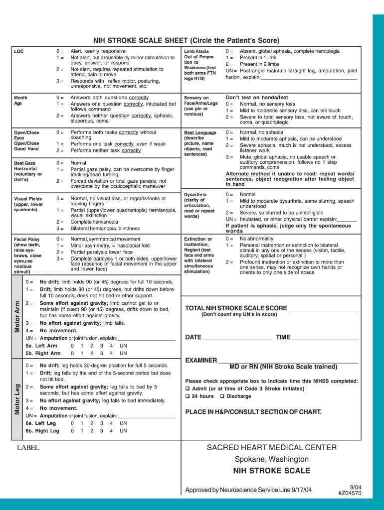  Nih Stroke Scale PDF Printable 2004-2024