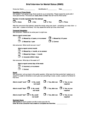 Bims Spanish PDF  Form