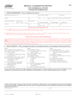 Dl51  Form