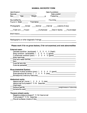 Marine Mammals Reptile Observation Mmro Form Sample