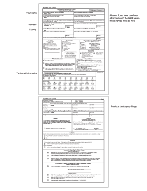 Sample Petition Adrian Lynn &amp; Associates  Form