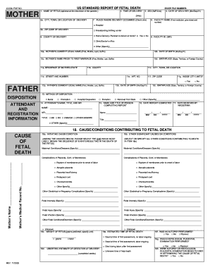 Fetal Death Certificate - Fill Out and Sign Printable PDF Template | signNow
