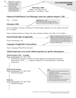 Fillable Resume  Form