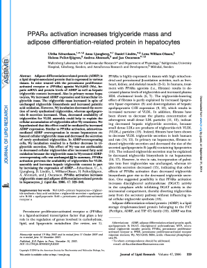 PPARa Activation Increases Triglyceride Mass and Adipose Jlr  Form