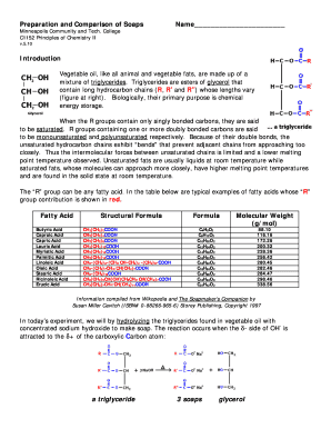 Preparation and Comparison of Soaps MCTCteach Org Mctcteach  Form