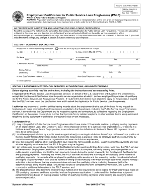 Blank Pslf Form