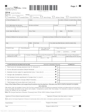 Georgia Form 700 Instructions