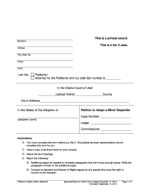 Adoption Paperwork  Form