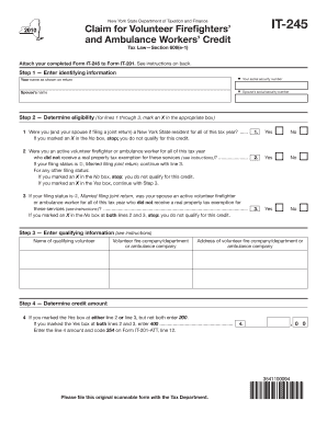 It 245  Form