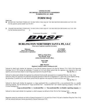 Report on Form 10 K for the Year Ended December 31, , Including the Financial