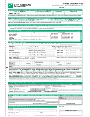 111206413 Common KIM 281111  Form