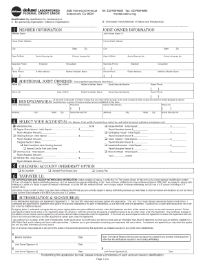 Only Complete If More Than One Joint Owner Deluxe Laboratories  Form