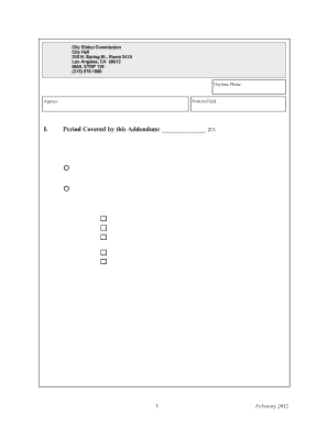 CEC Form 10 Financial Disclosure Addenda for High Level Filers