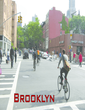SAFE STREETS NYC  Form