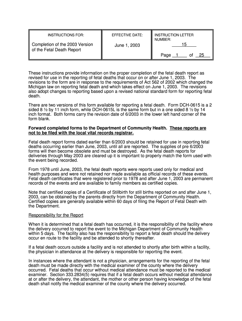 INSTRUCTIONS for State of Michigan Michigan  Form