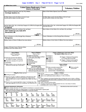 Bankruptcy Forms Correlogic Systems, Inc James a Vidmar 00271