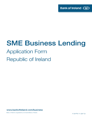 D3749 Boi Sme Business Lending App Form Feb Bank of Ireland