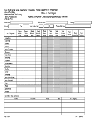 Dot Form 1003