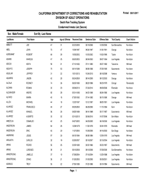 DIVISION of ADULT OPERATIONS  Form