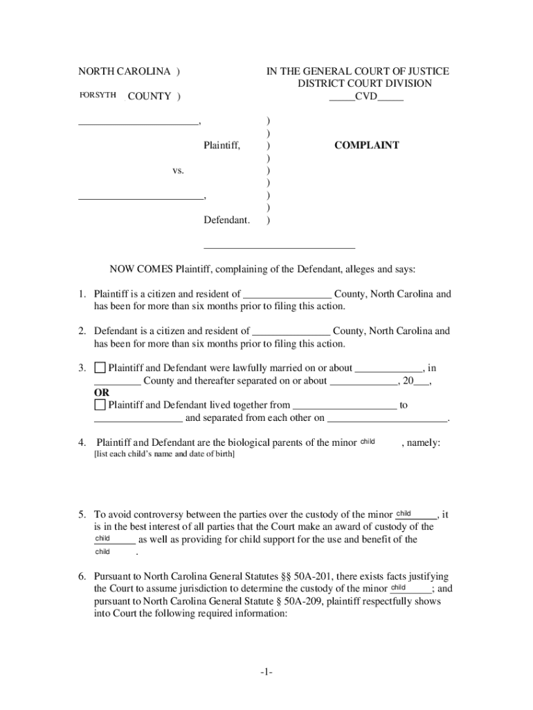 Mecklenburg County Custody Form Packet