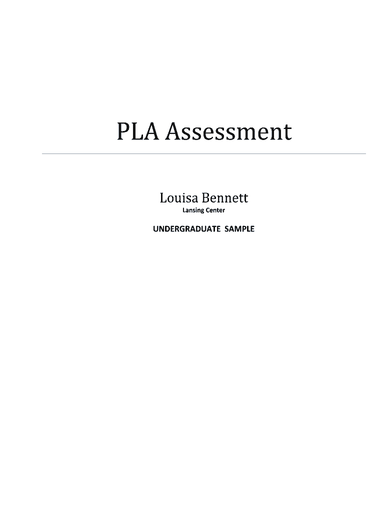 PLA Assessment Central Michigan University  Form