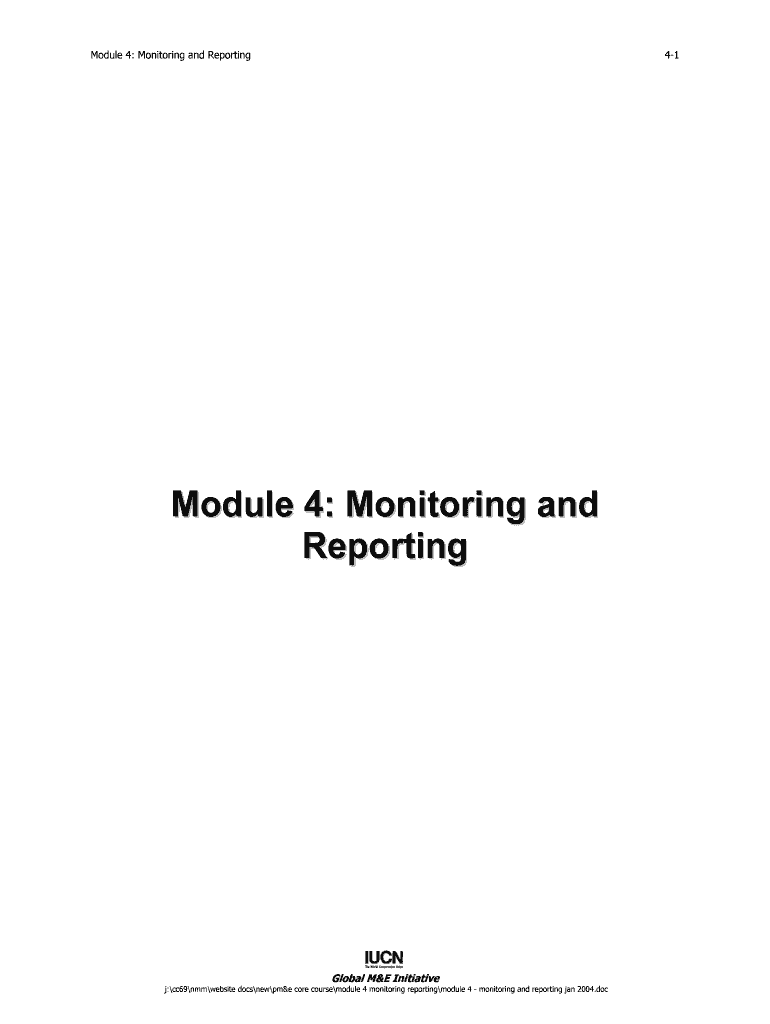 Module 4 Monitoring and Reporting  Form