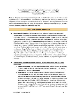 Partners Realistically Integrating Durable Empowerment  Form