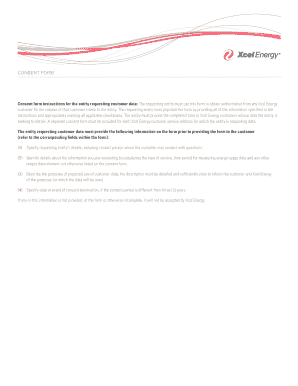 CONSENT FORM Consent Form Instructions for the Xcel Energy